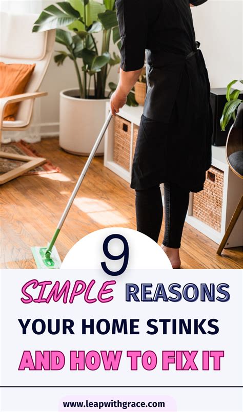 Why Your Home Stinks and How to Fix It 